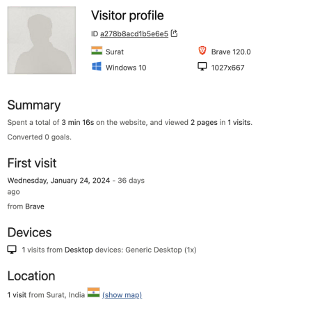 Screenshot of CRO:NYX Digital Visitor Log in Matomo