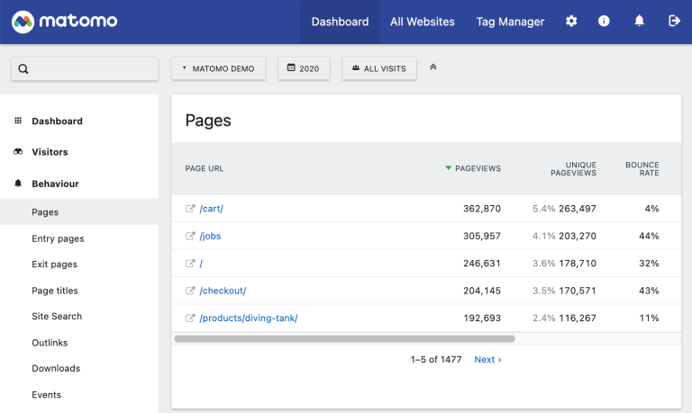 Matomo Page Analytics Report