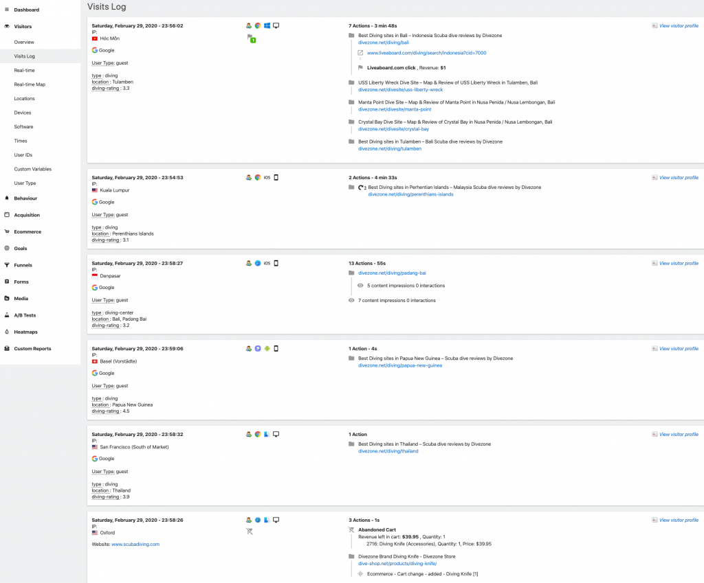 WordPress analytics visit log